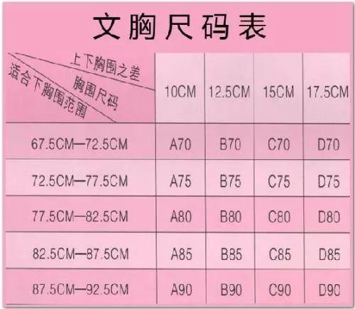 亚洲尺码与欧洲尺码区别解析：了解不同尺码系统的影响与选择技巧