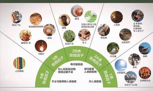 {积积对积积的桶30分软件：如何高效利用这一工具提升工作效率}